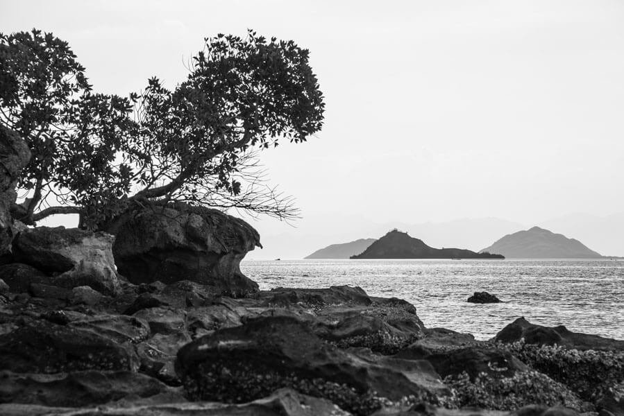 Galeria Plakatu, Plakat, Wybrzeże, Premium, 40x30 cm