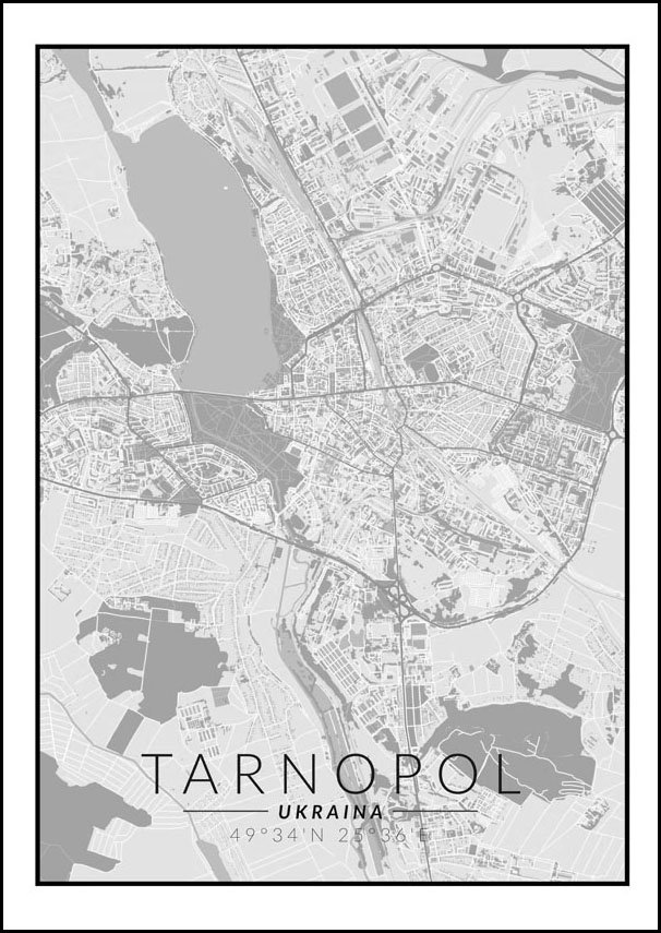 Galeria Plakatu, Plakat, Tarnopol Mapa Czarno Biała, 50x70 cm