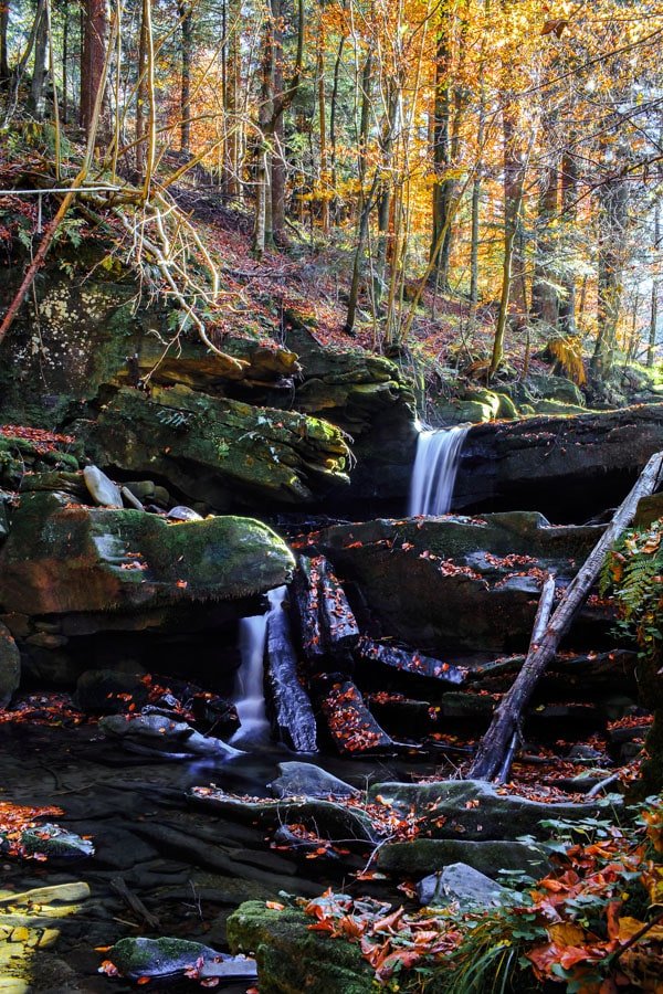 Galeria Plakatu, Plakat, Kolory Jesieni 1, 60x80 cm