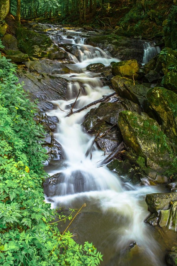 Galeria Plakatu, Plakat, Szepit, 61x91,5 cm