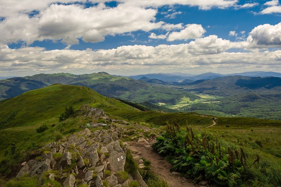 Galeria Plakatu, Plakat, Lato Na Połoninie, 70x50 cm