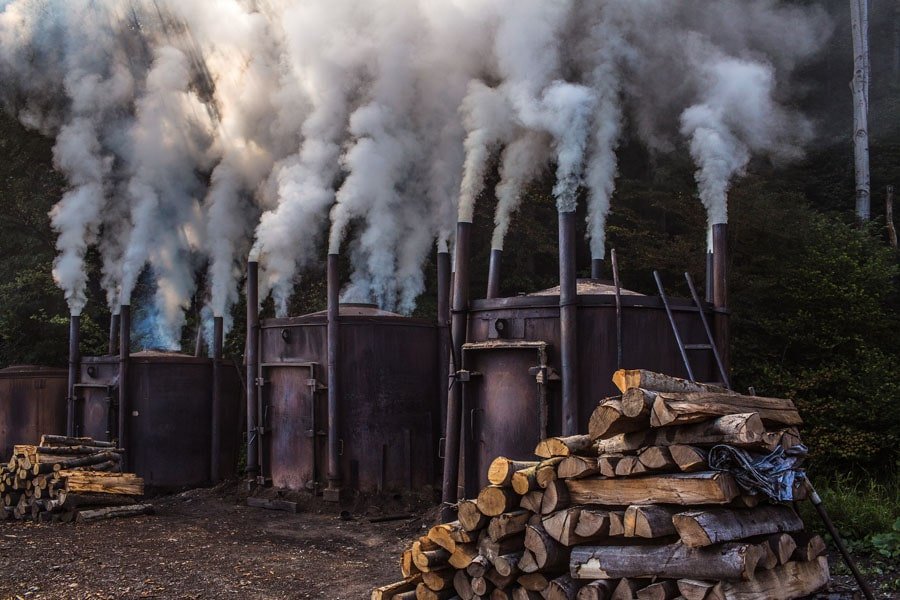 Galeria Plakatu, Plakat, Retorty, Jedne Z Ostatnich W Bieszczadach, 40x30 cm