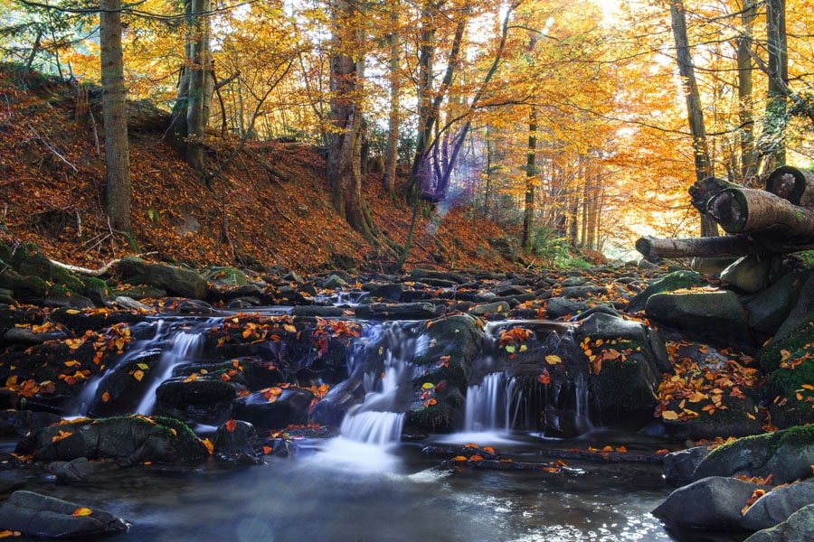 Galeria Plakatu, Plakat, Kolory Jesieni 2, 40x30 cm