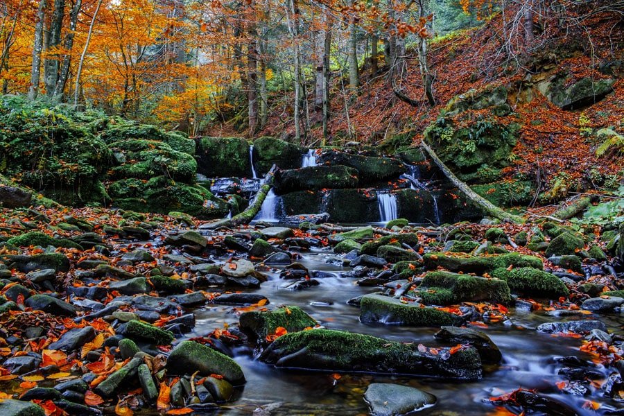 Galeria Plakatu, Plakat, Kolory Jesieni 3, 40x30 cm