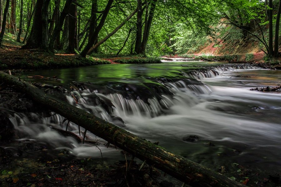 Galeria Plakatu, Plakat, Szumy 1, 70x50 cm