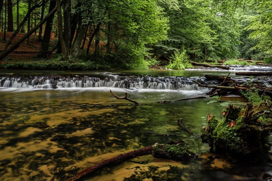 Galeria Plakatu, Plakat, Szumy 2, 50x40 cm