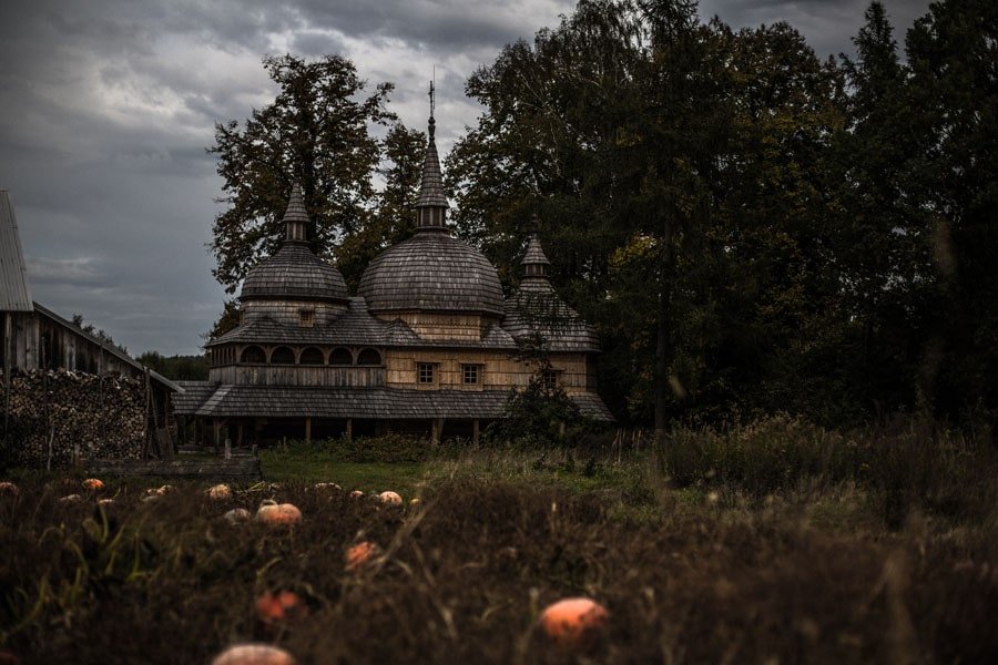 Galeria Plakatu, Plakat, Na Roztoczu, 50x40 cm