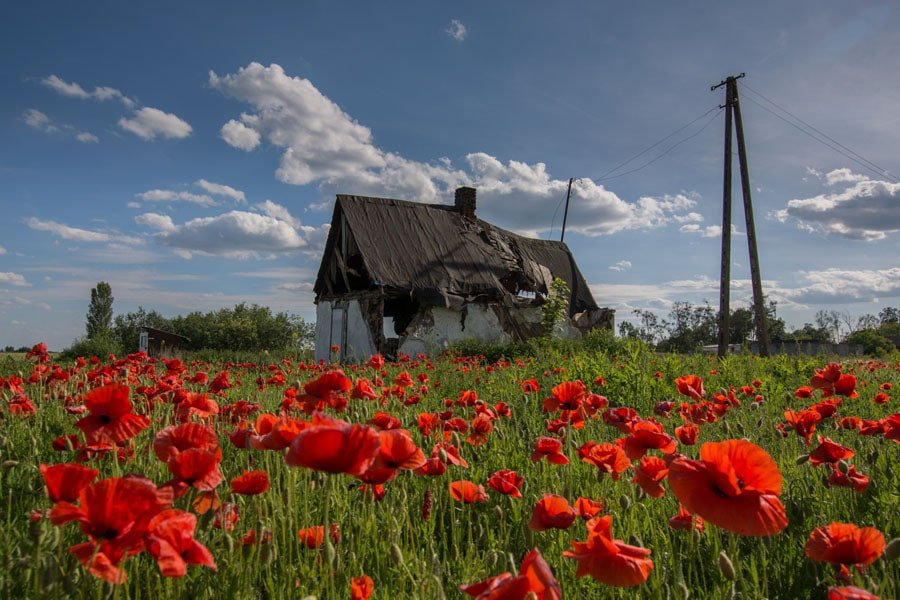 Galeria Plakatu, Plakat, Chatka W Makach, 70x50 cm