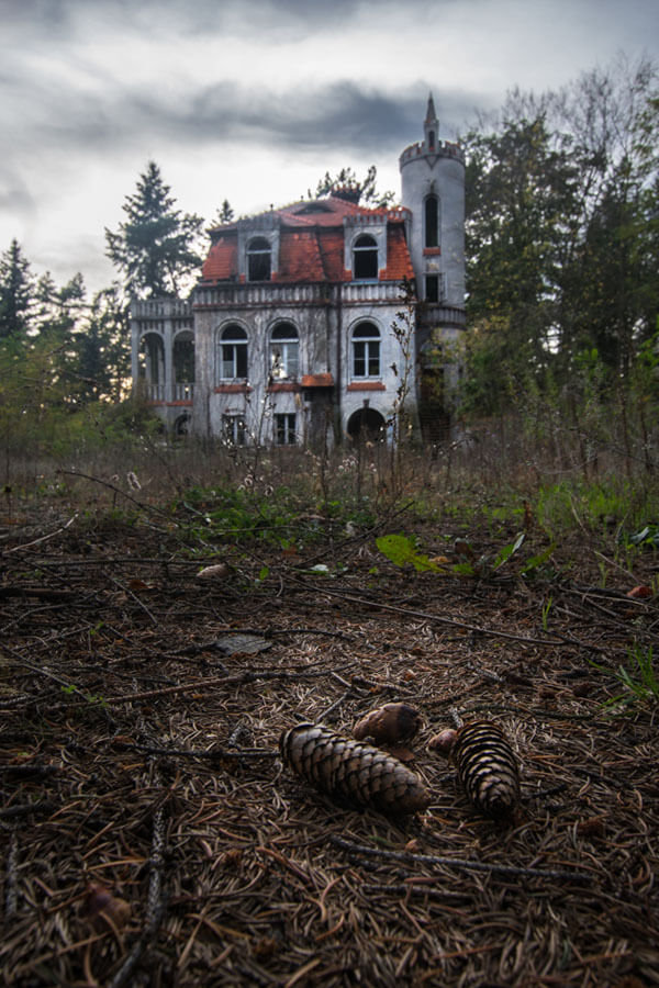 Galeria Plakatu, Plakat, Willa, 30x40 cm