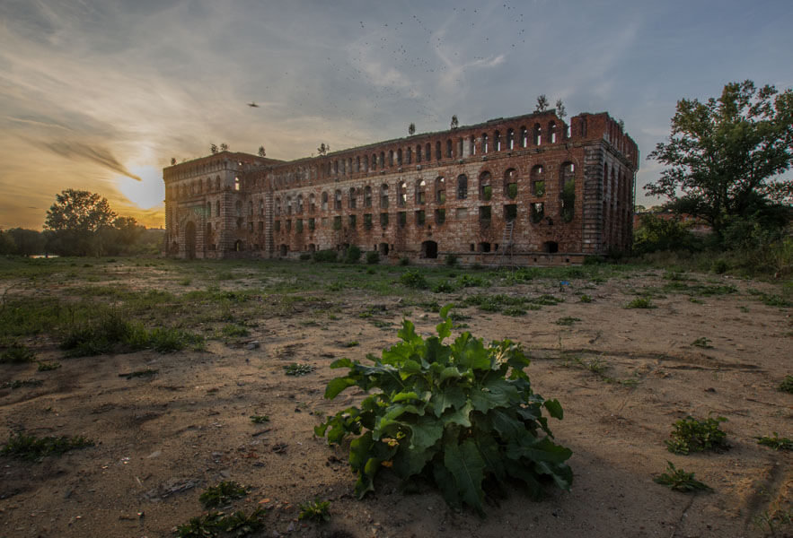 Galeria Plakatu, Plakat, Spichlerz, 70x50 cm