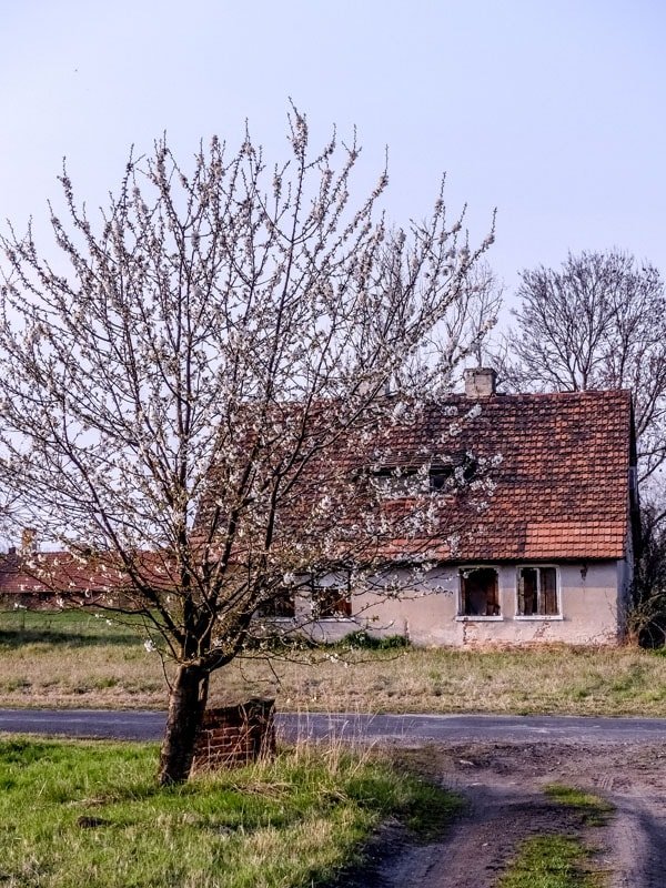 Galeria Plakatu, Plakat, Opuszczony Budynek 4, 40x50 cm