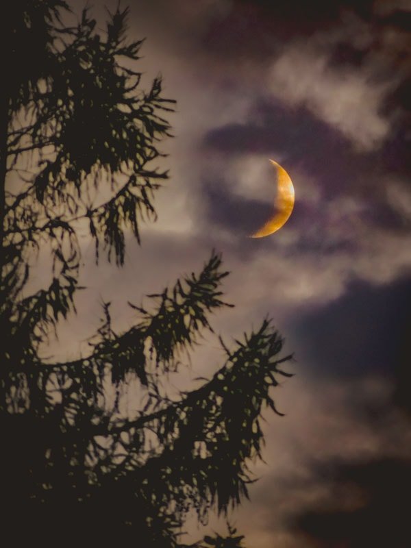 Galeria Plakatu, Plakat, Księżyc 4, 61x91,5 cm