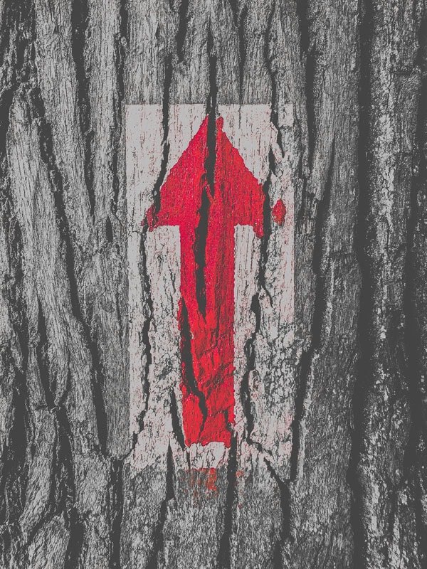 Galeria Plakatu, Plakat, Kierunek, 61x91,5 cm