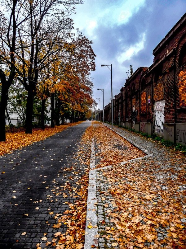 Galeria Plakatu, Plakat, Jesień, 50x70 cm