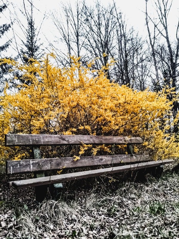 Galeria Plakatu, Plakat, Jesień 2, 40x50 cm