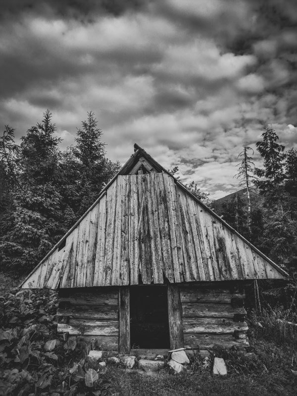 Galeria Plakatu, Plakat, Drewniana Chatka, 40x50 cm