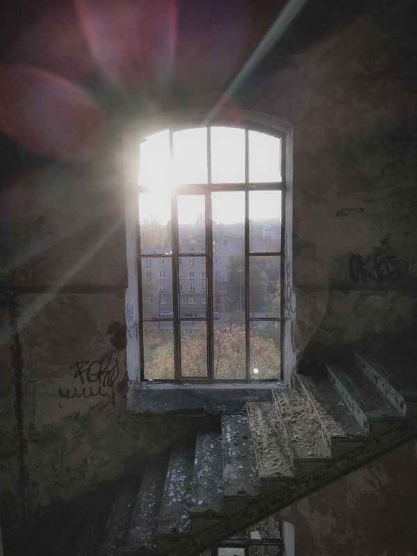 Galeria Plakatu, Plakat, Widok Z Okna, 40x50 cm