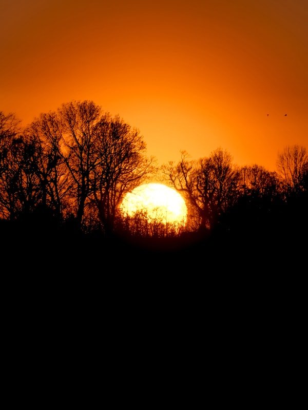 Galeria Plakatu, Plakat, Zachód Słońca 6, 59,4x84,1 cm