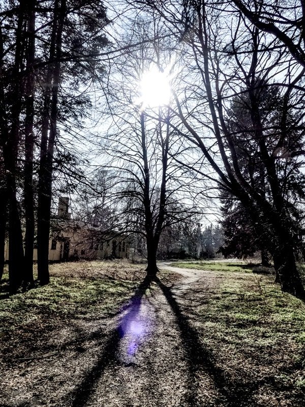 Galeria Plakatu, Plakat, Słońce 2, 30x40 cm