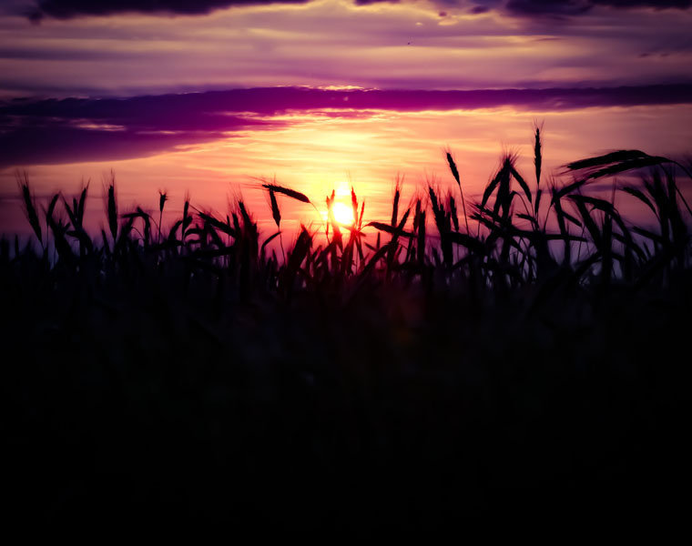 Galeria Plakatu, Plakat, Zachód Słońca 5, 59,4x42 cm