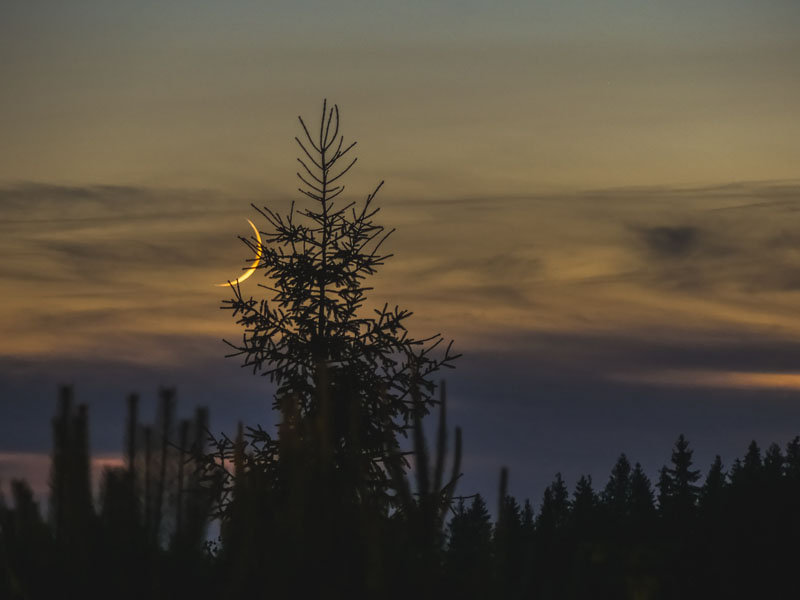 Galeria Plakatu, Plakat, Księżyc 2, 30x20 cm
