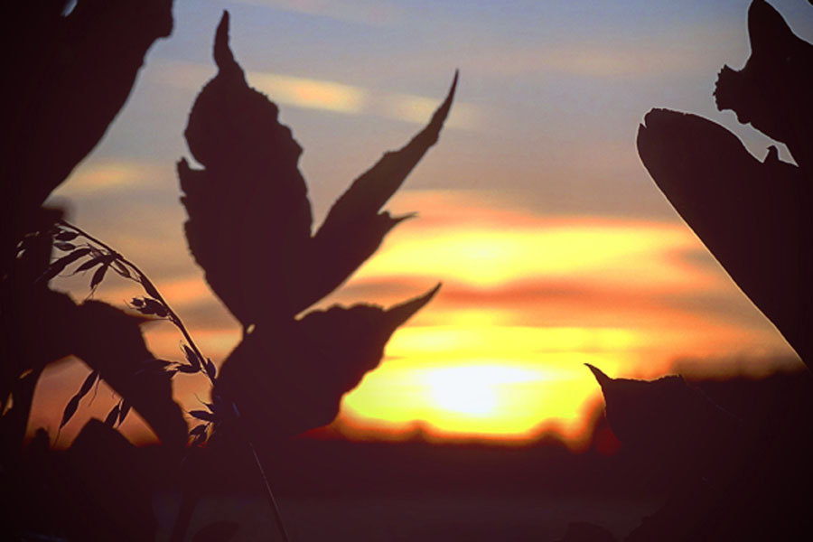 Galeria Plakatu, Plakat, Zachód Słońca, 100x70 cm