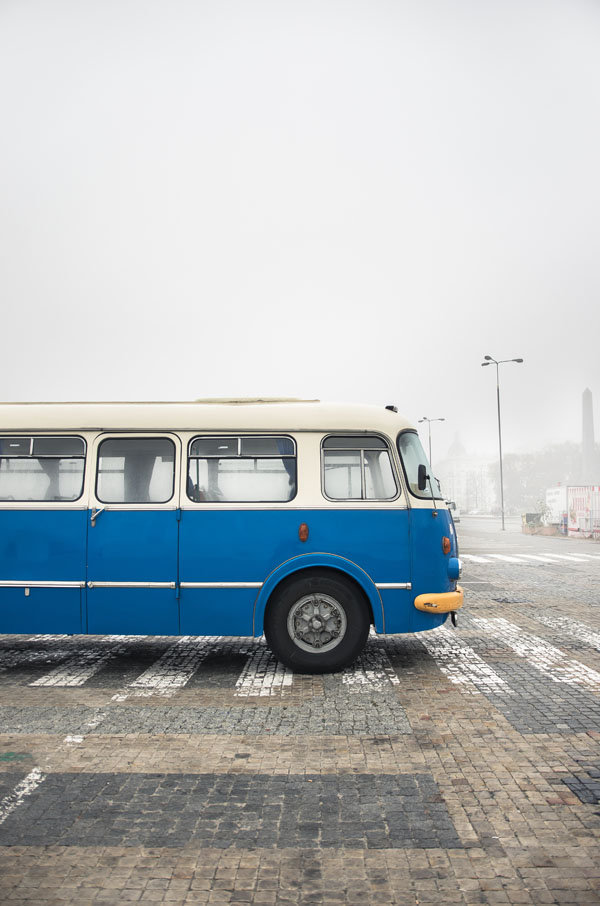 Galeria Plakatu, Plakat, Ogórek We Mgle, 50x70 cm