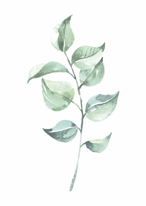 Galeria Plakatu, Plakat, Gałązka, 50x70 cm