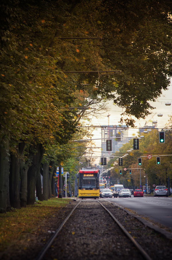 Galeria Plakatu, Plakat, Jesiennie, 50x70 cm