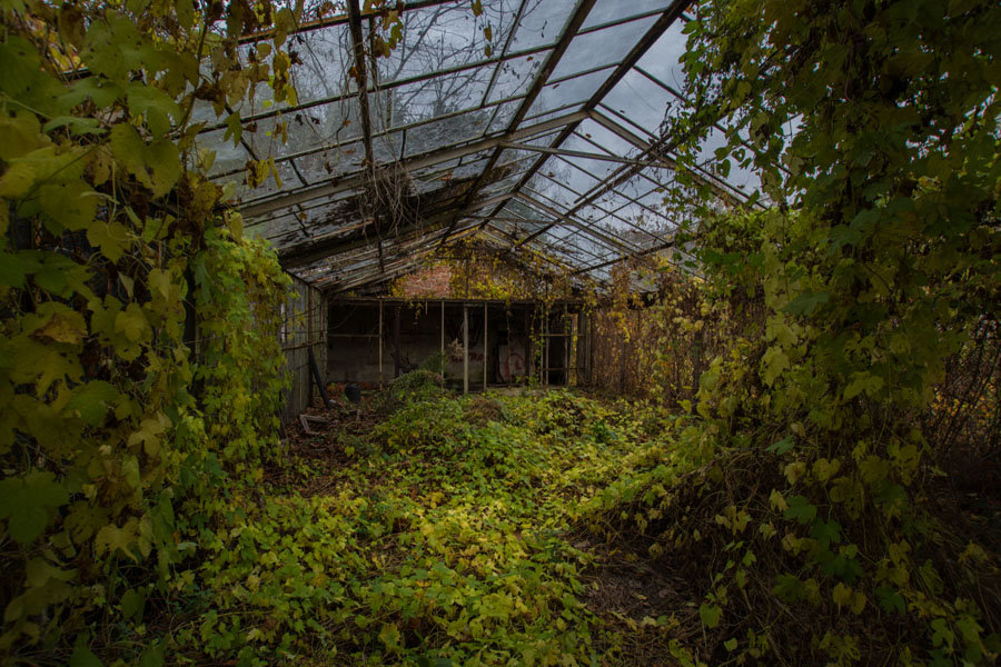 Galeria Plakatu, Plakat, Szklarnia, 40x30 cm