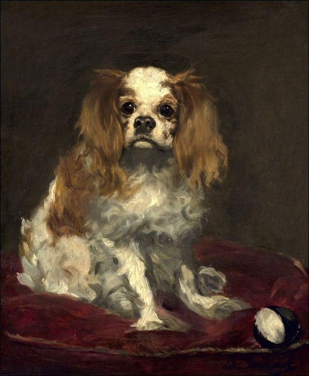 Galeria Plakatu, A King Charles Spaniel, Edouard Manet, 50x70 cm