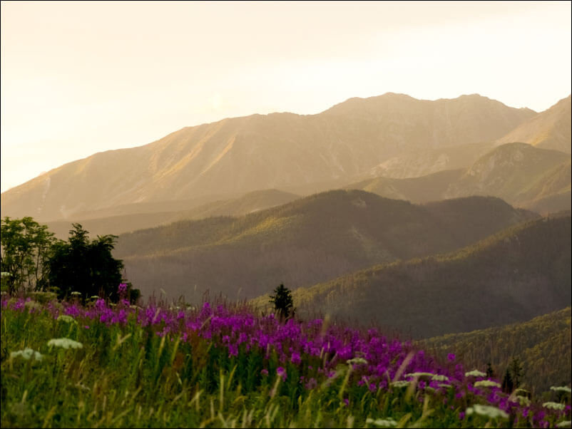 Galeria Plakatu, Plakat, Widok Na Góry V, 60x40 cm