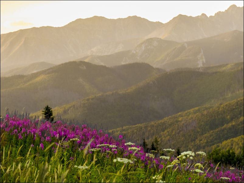 Galeria Plakatu, Plakat, Widok Na Góry Vi, 70x50 cm