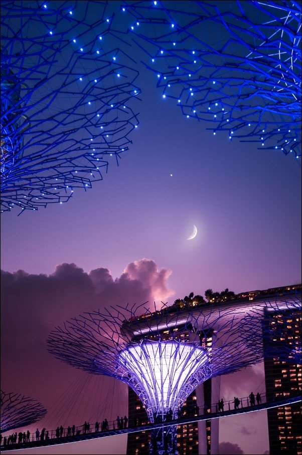 Galeria Plakatu, Plakat, Singapur, Księżyc, 61x91,5 cm