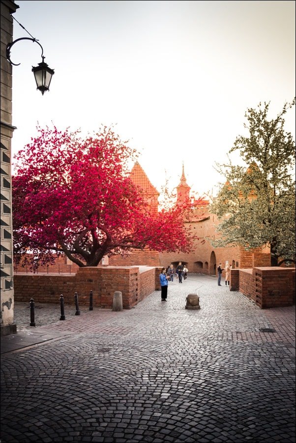 Galeria Plakatu, Plakat, Wiosna, 50x70 cm