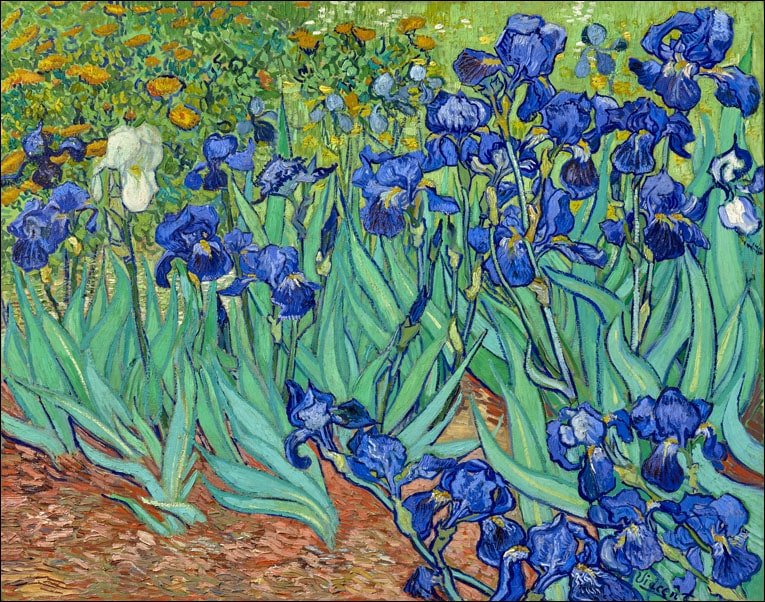 Galeria Plakatu, Plakat, Irysy, Vincent Van Gogh, 29,7x21 cm