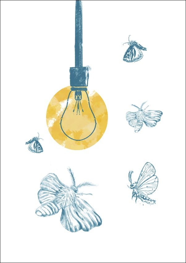 Galeria Plakatu, Plakat, Ćmy, 61x91,5 cm