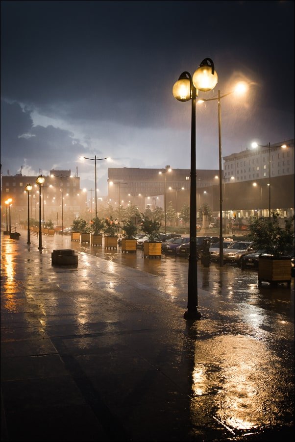 Galeria Plakatu, Plakat, Deszcz, premium 50x70 cm