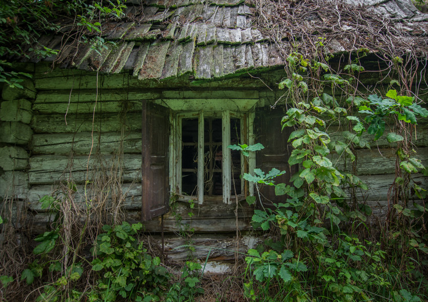 Galeria Plakatu, Plakat, Stare okno, 50x40 cm