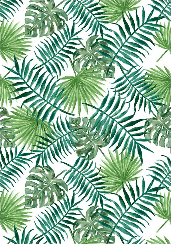 Galeria Plakatu, Plakat, Liście tropikalne, 30x40 cm