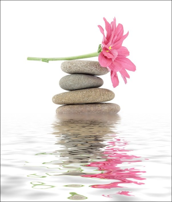Galeria Plakatu, Plakat, Spa. Kamienie zen i kwiaty, 20x30 cm