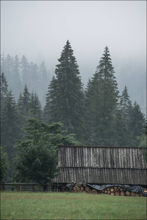 Galeria Plakatu, Plakat, Dolina Chochołowska, Tatry, 50x70 cm