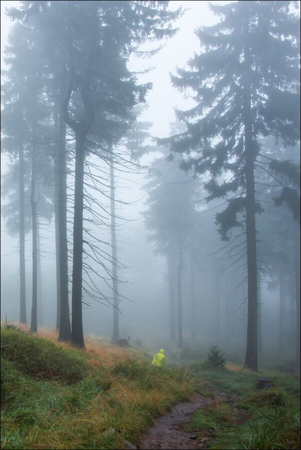 Galeria Plakatu, Plakat, W mglistym lesie II, Góry Sowie, 50x70 cm