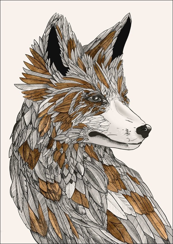 Galeria Plakatu, Plakat, Zapomniany lis, 30x40 cm