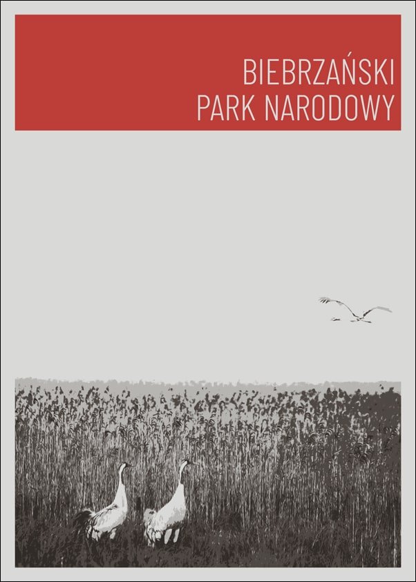 Galeria Plakatu, Parki Narodowe, Biebrza red, 60x80 cm