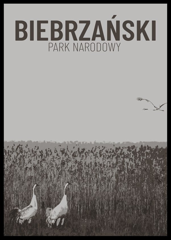 Galeria Plakatu, Parki Narodowe, Biebrza b&w, 70x100 cm