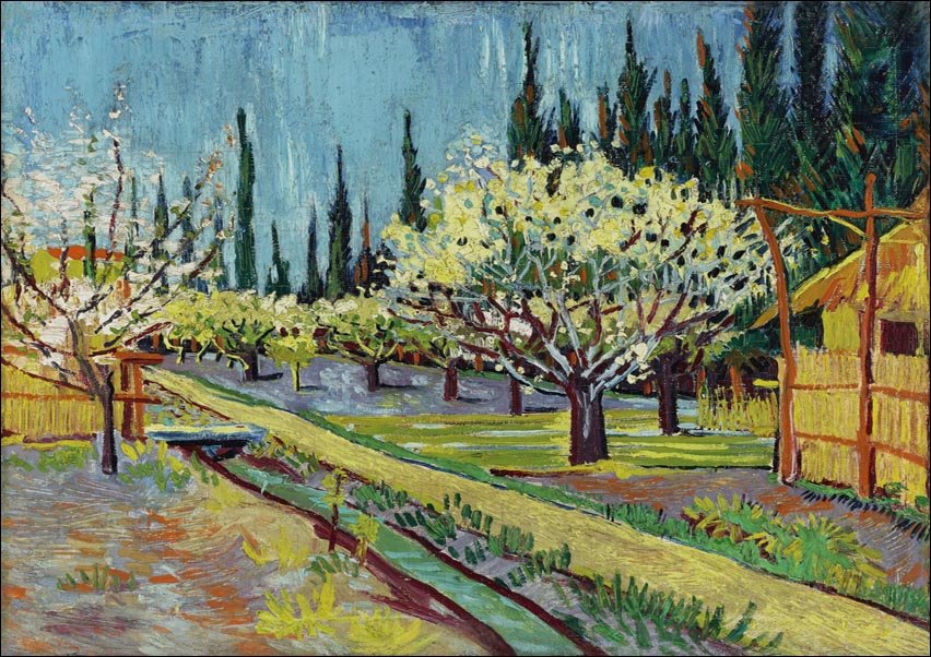 Galeria Plakatu, Plakat, Orchard Bordered by Cypresses, Vincent Van Gogh, 70x50 cm