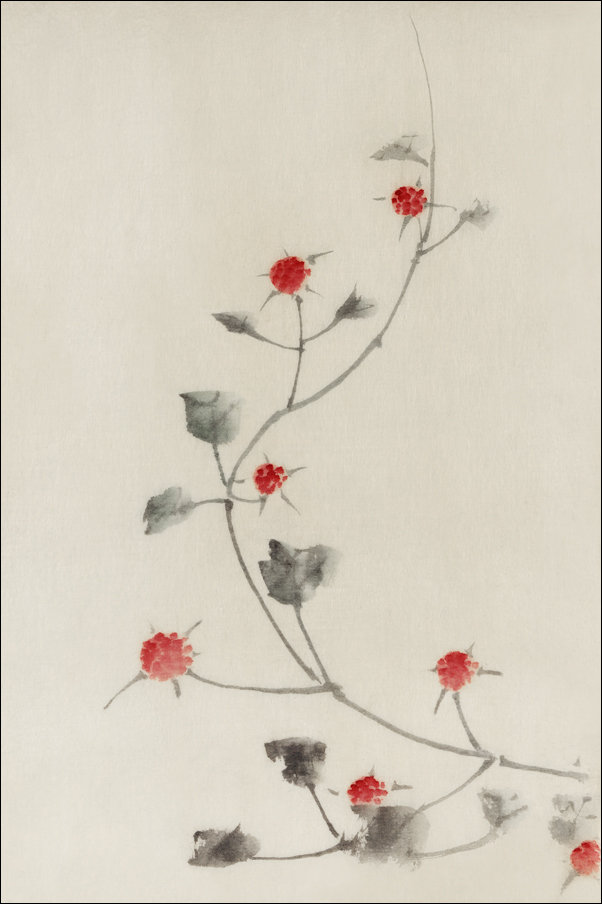 Galeria Plakatu, Plakat, Small Red Blossoms on a Vine, Hokusai, 50x70 cm