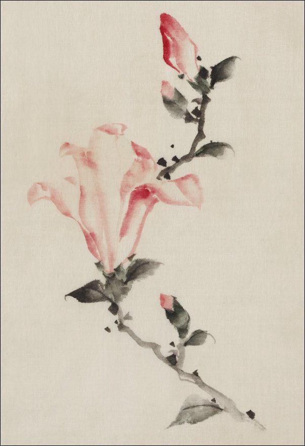 Galeria Plakatu, Plakat, Large Pink Blossom on a Stem with Three Additional Buds, Hokusai, 40x50 cm
