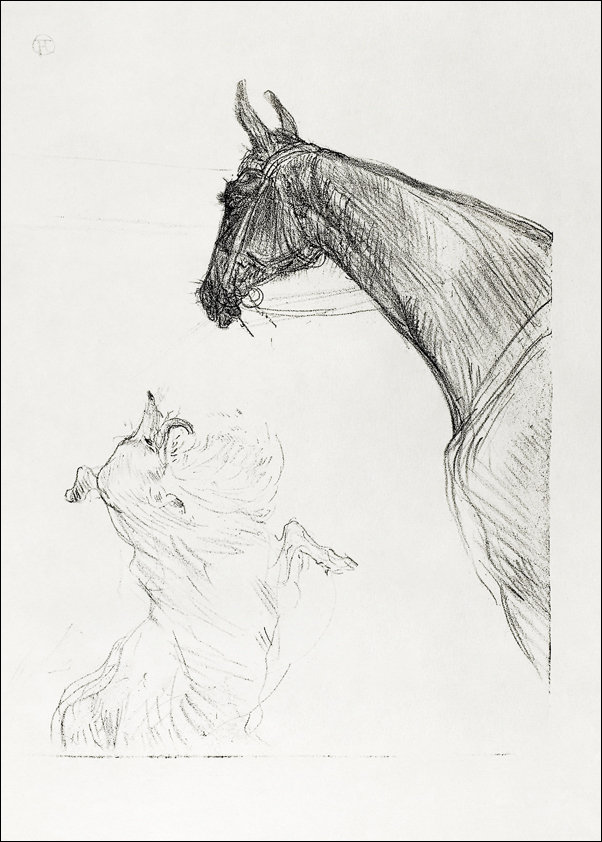 Galeria Plakatu, Plakat, Horse and Collie, Henri De Toulouse-Lautrec, 61x91,5 cm
